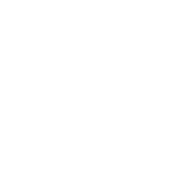 Weighted Randomiser